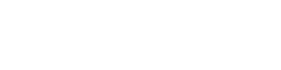 light logo